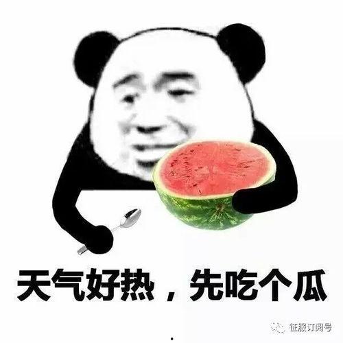 娱乐吃瓜酱安全气囊吐槽